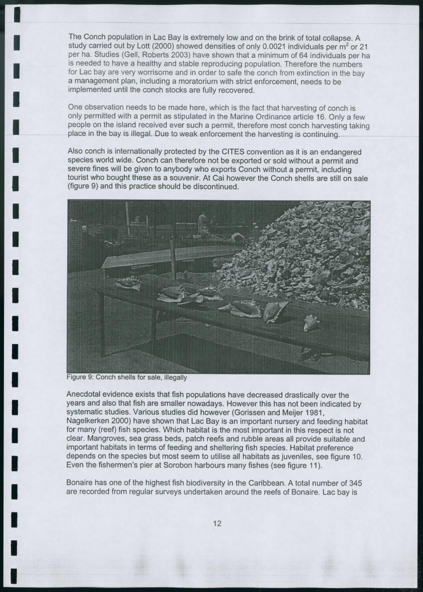 Z Lac Bay Management Plan - 2003 - Draft - New Page