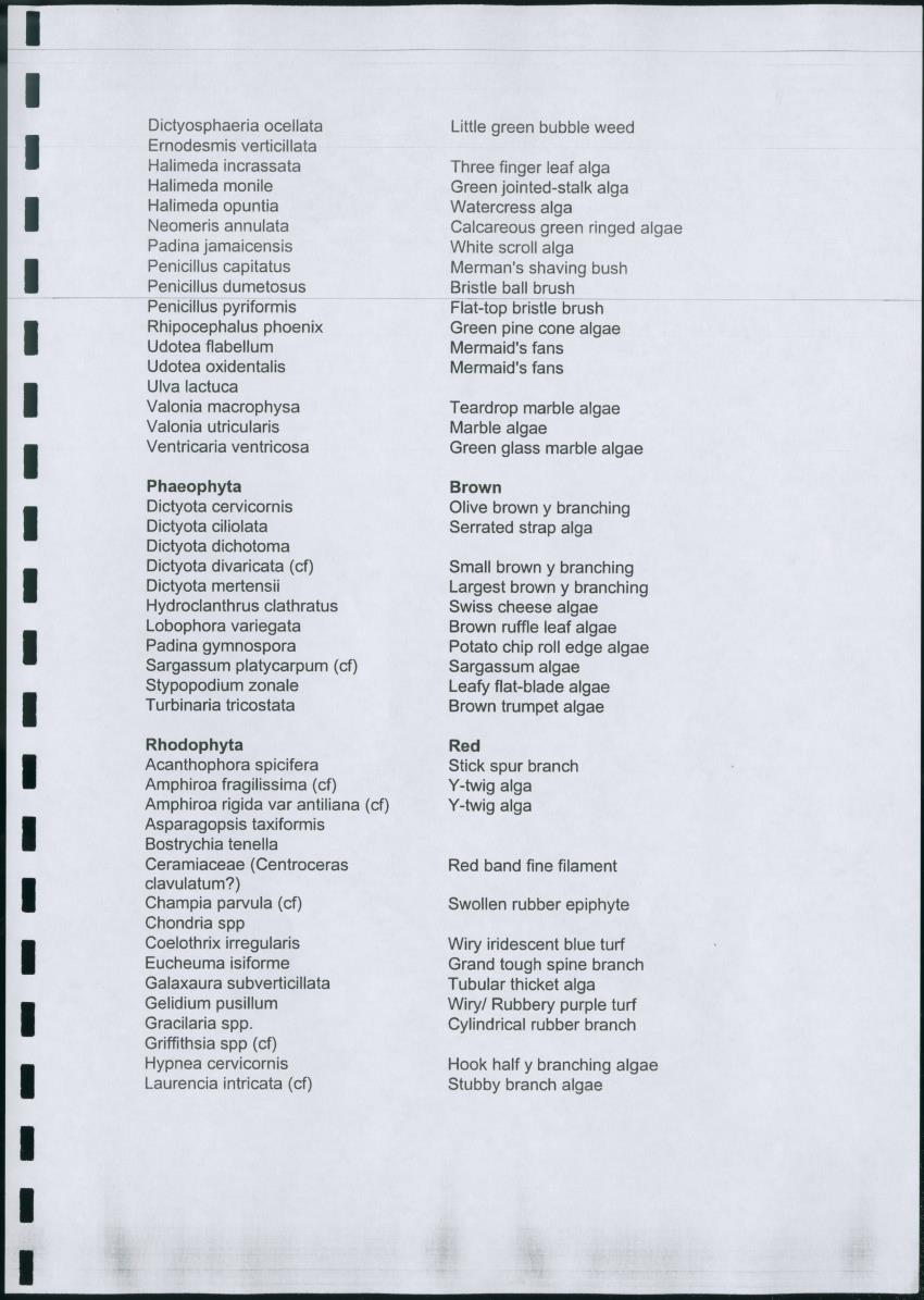 Z Lac Bay Management Plan - 2003 - Draft - New Page
