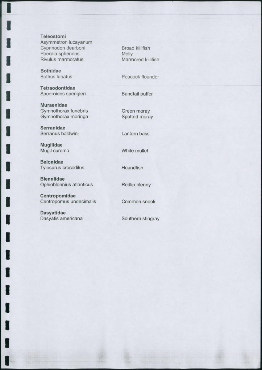 Z Lac Bay Management Plan - 2003 - Draft - New Page