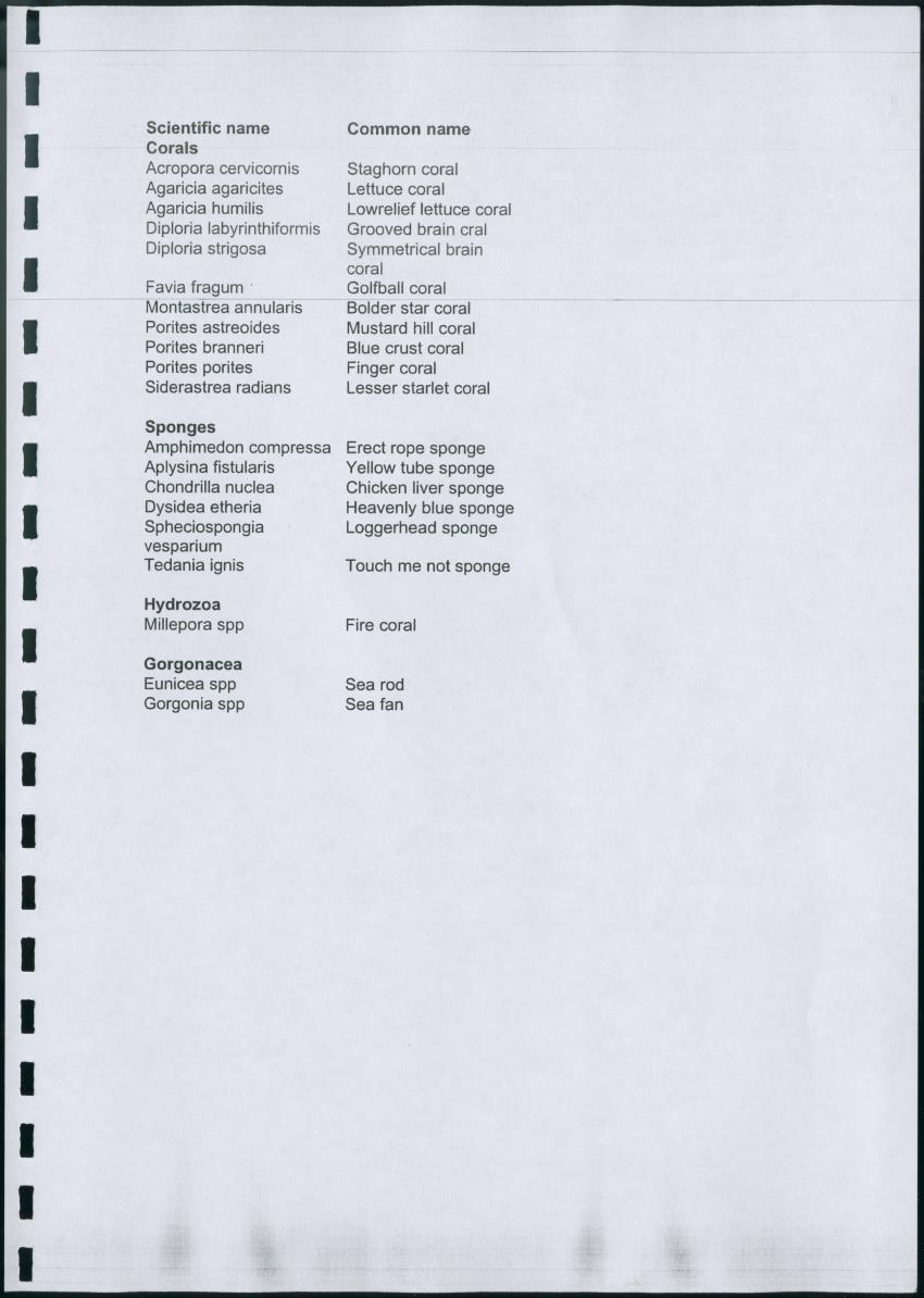 Z Lac Bay Management Plan - 2003 - Draft - New Page