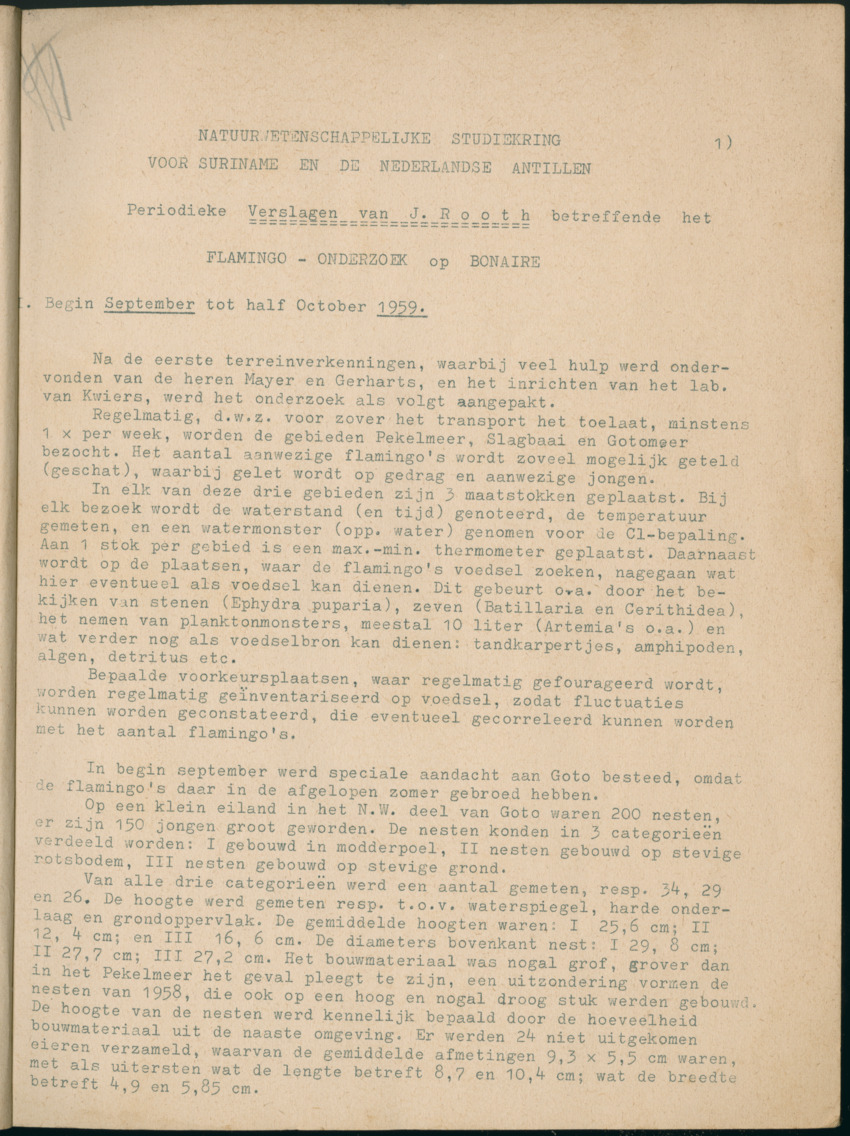 Z Periodieke Verslagen betreffende het Flamingo-onderzoek op Bonaire - New Page