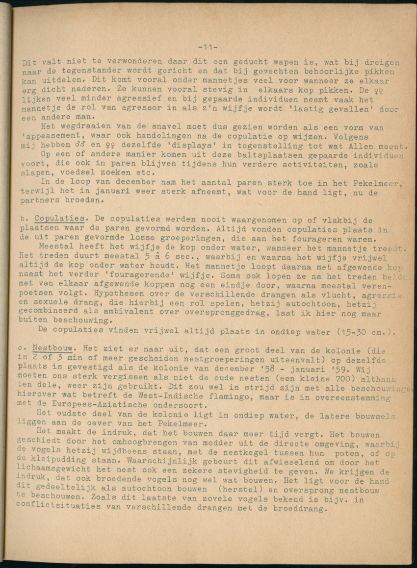 Z Periodieke Verslagen betreffende het Flamingo-onderzoek op Bonaire - New Page