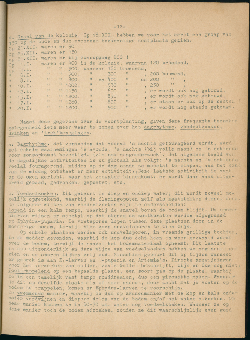 Z Periodieke Verslagen betreffende het Flamingo-onderzoek op Bonaire - New Page