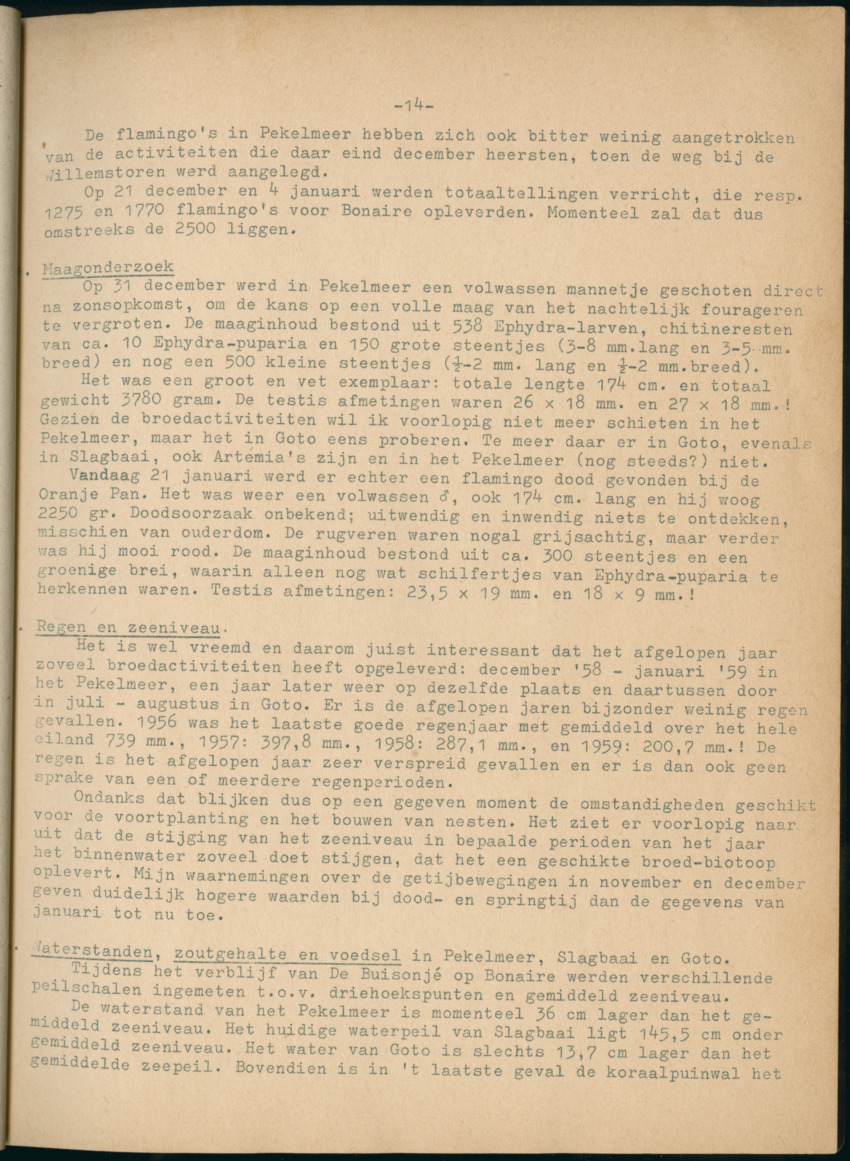 Z Periodieke Verslagen betreffende het Flamingo-onderzoek op Bonaire - New Page