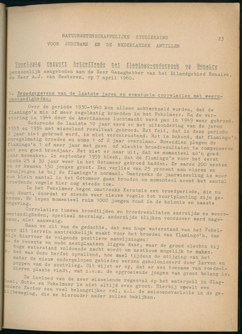 Z Periodieke Verslagen betreffende het Flamingo-onderzoek op Bonaire - New Page
