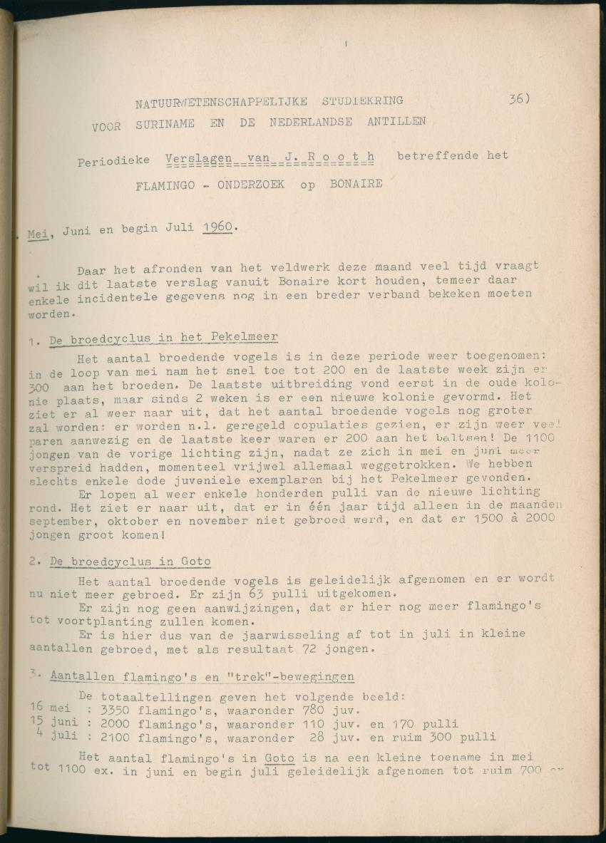 Z Periodieke Verslagen betreffende het Flamingo-onderzoek op Bonaire - New Page