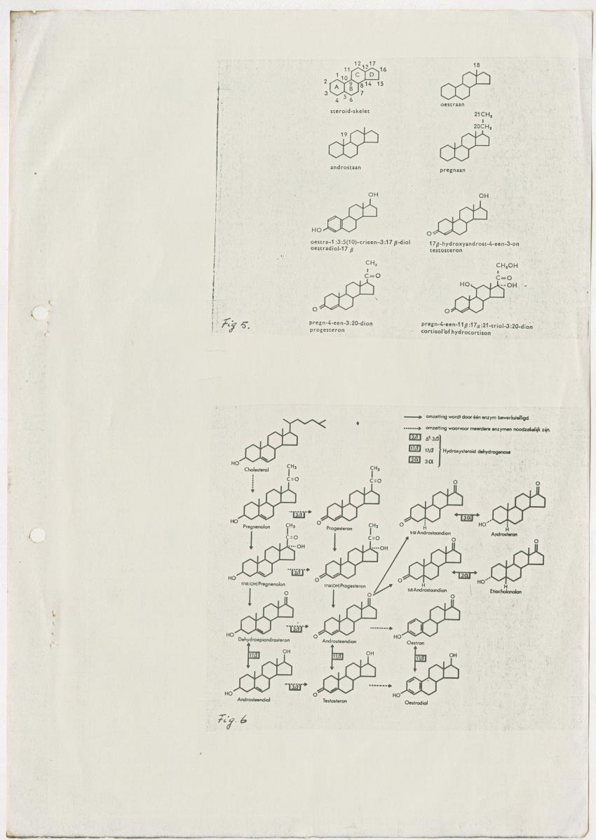 Enkele endocrinologische aspecten van de voortplanting van vissen - New Page