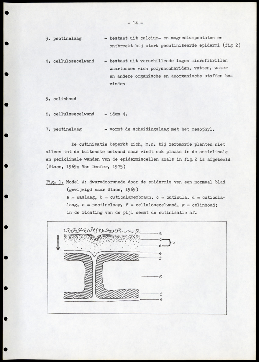 Voorbereidend onderzoek voor de faecesanalyse bij Curaçaose herbivoren - New Page
