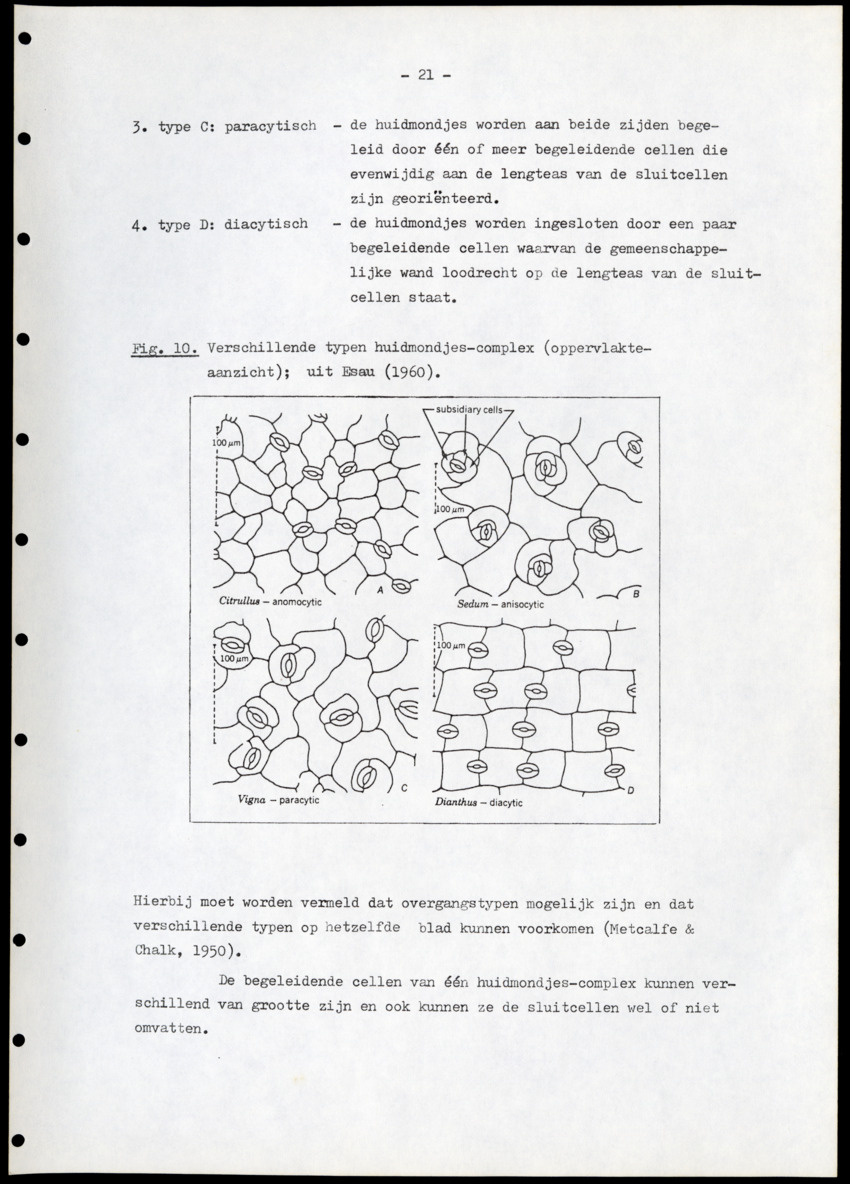 Voorbereidend onderzoek voor de faecesanalyse bij Curaçaose herbivoren - New Page