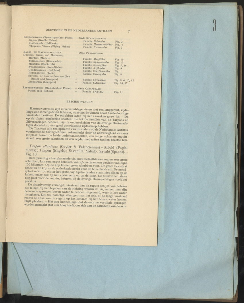 Carmabi Collected Papers Volume 1 - Nos. 1-15, 1956-1959 - Page 33