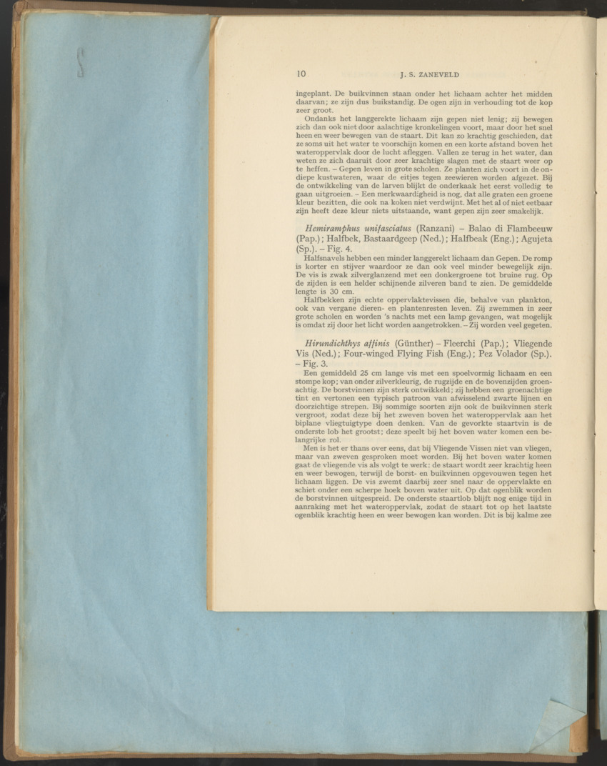 Carmabi Collected Papers Volume 1 - Nos. 1-15, 1956-1959 - Page 36