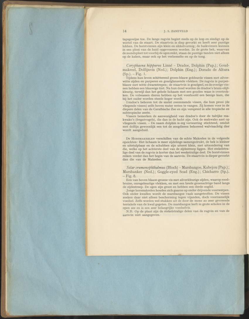 Carmabi Collected Papers Volume 1 - Nos. 1-15, 1956-1959 - Page 40