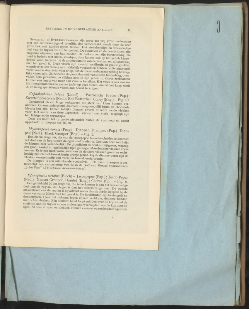 Carmabi Collected Papers Volume 1 - Nos. 1-15, 1956-1959 - Page 41