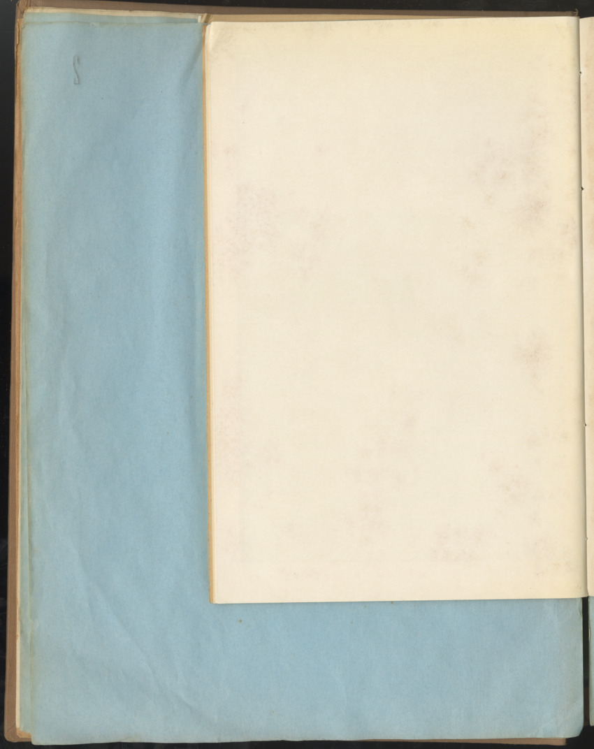 Carmabi Collected Papers Volume 1 - Nos. 1-15, 1956-1959 - Page 46
