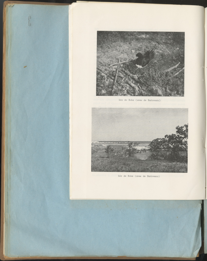Carmabi Collected Papers Volume 1 - Nos. 1-15, 1956-1959 - Page 74