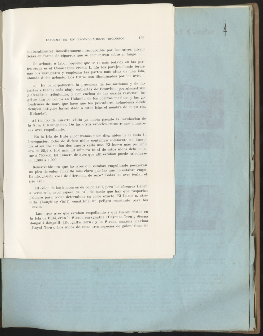 Carmabi Collected Papers Volume 1 - Nos. 1-15, 1956-1959 - Page 75