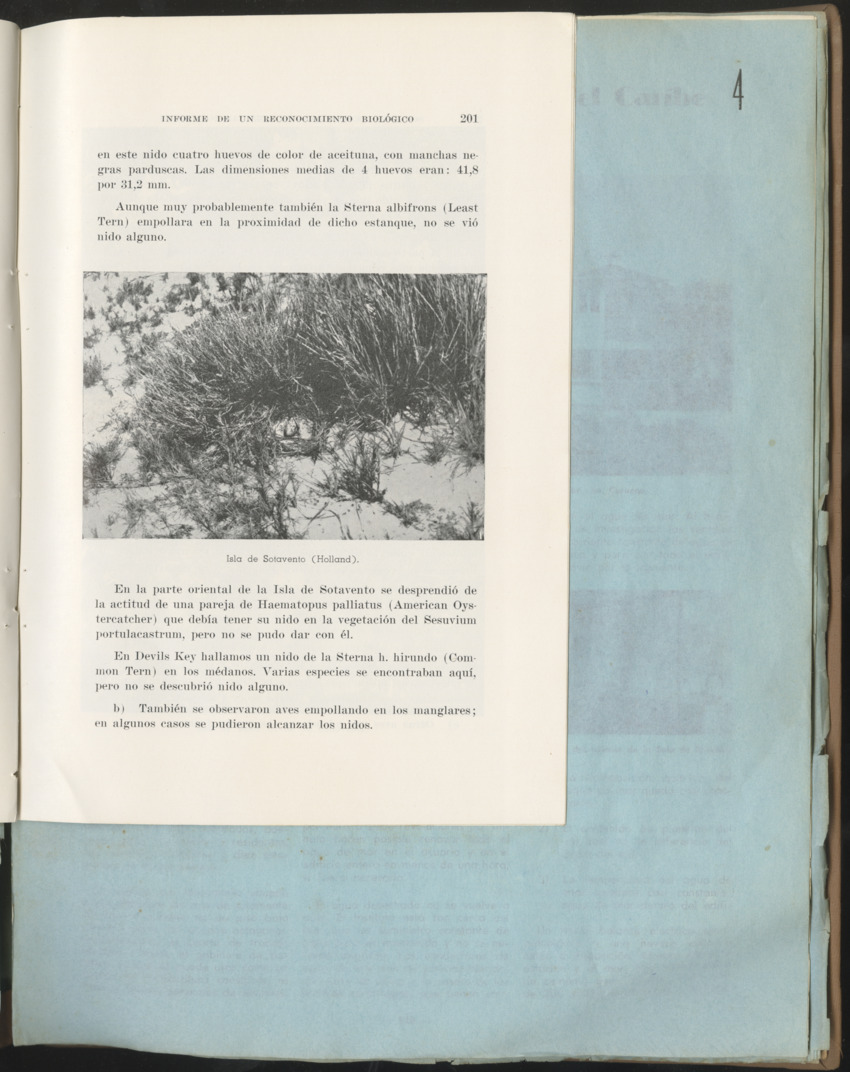 Carmabi Collected Papers Volume 1 - Nos. 1-15, 1956-1959 - Page 77