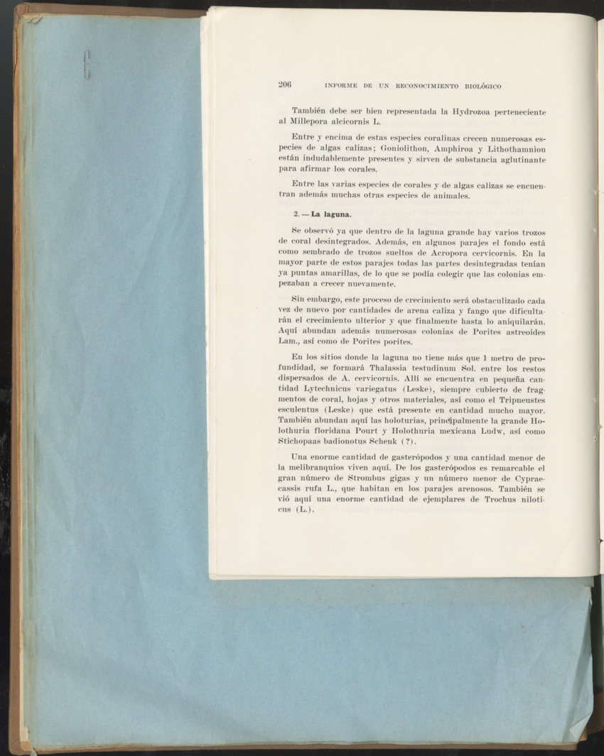Carmabi Collected Papers Volume 1 - Nos. 1-15, 1956-1959 - Page 82