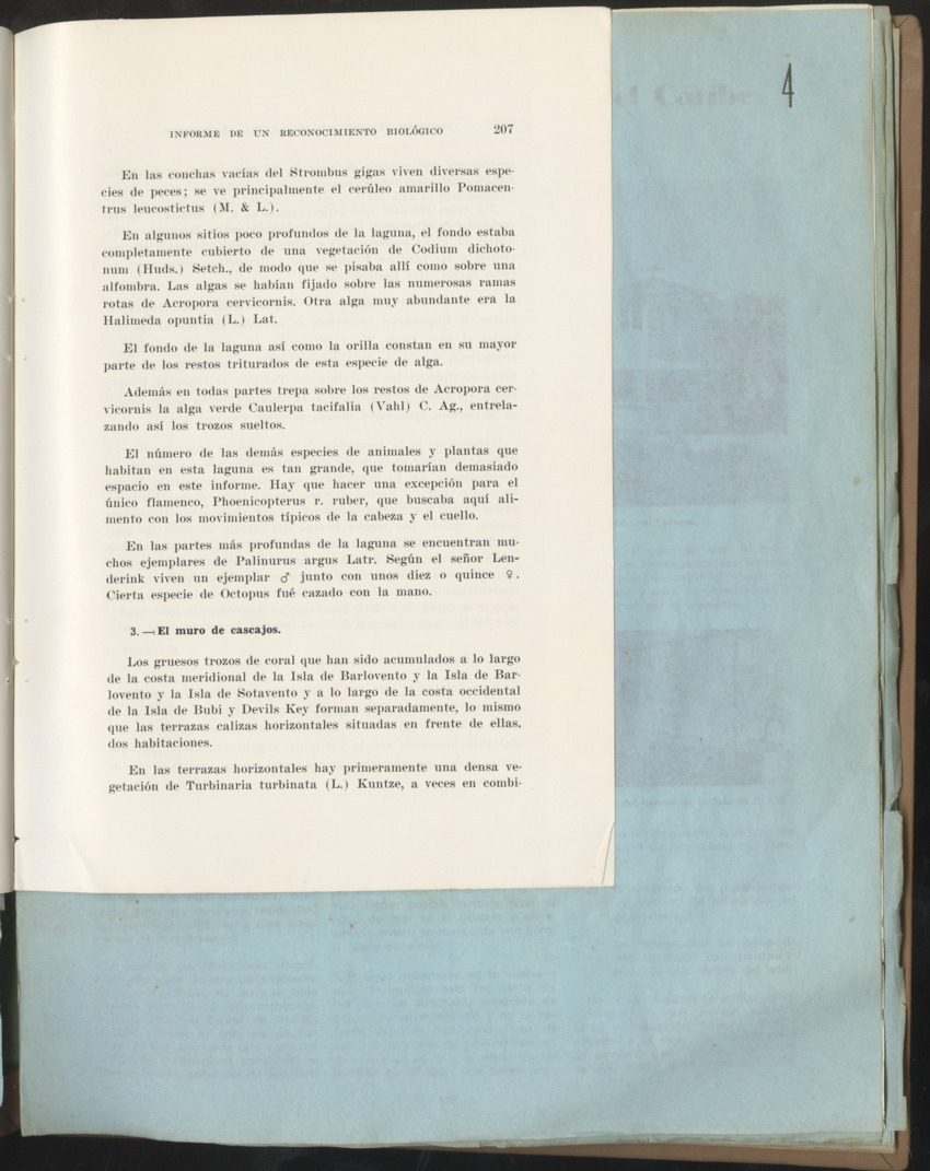 Carmabi Collected Papers Volume 1 - Nos. 1-15, 1956-1959 - Page 83