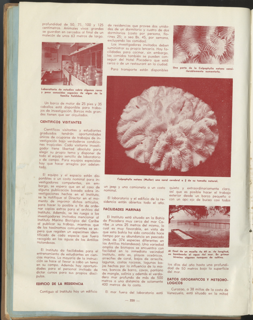 Carmabi Collected Papers Volume 1 - Nos. 1-15, 1956-1959 - Page 90