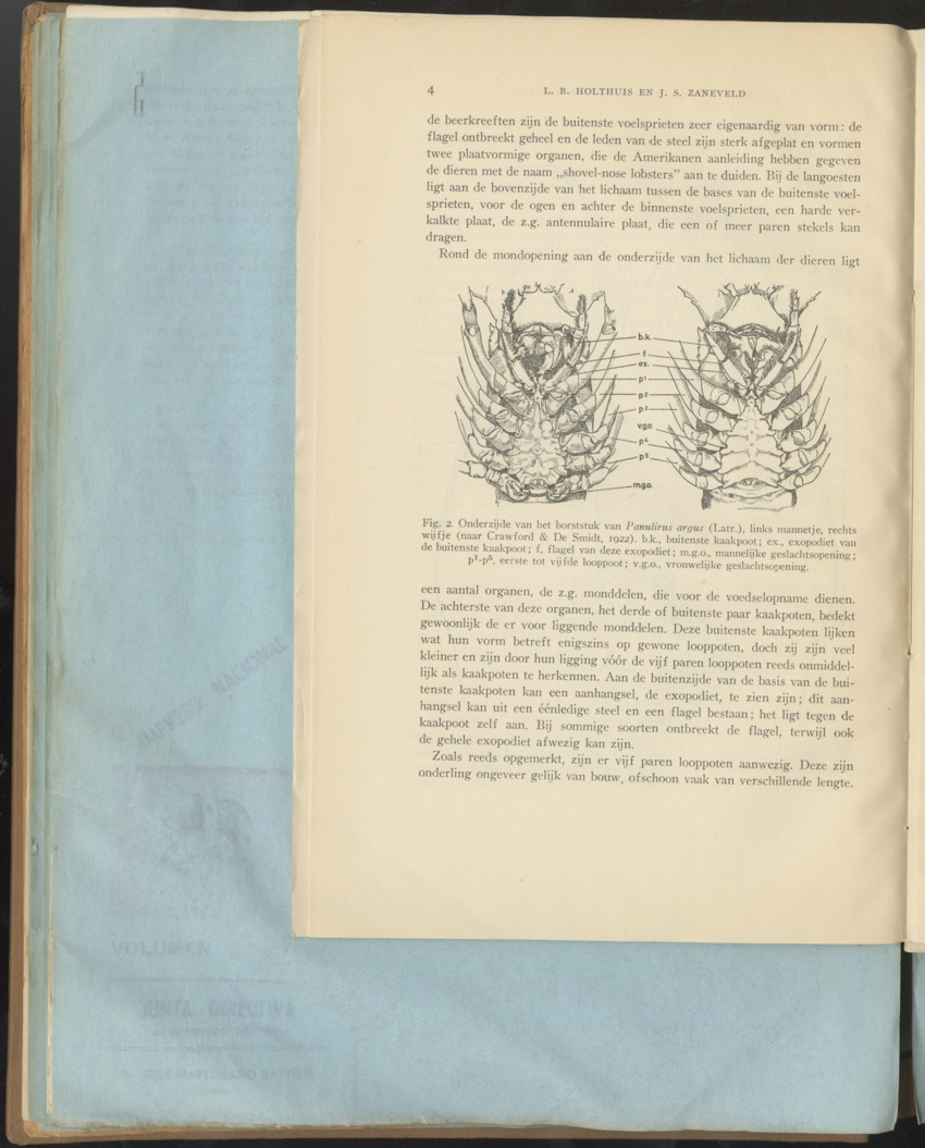 Carmabi Collected Papers Volume 1 - Nos. 1-15, 1956-1959 - Page 100