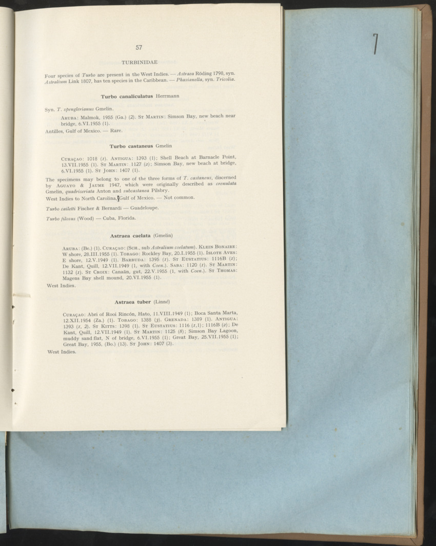 Carmabi Collected Papers Volume 1 - Nos. 1-15, 1956-1959 - Page 145