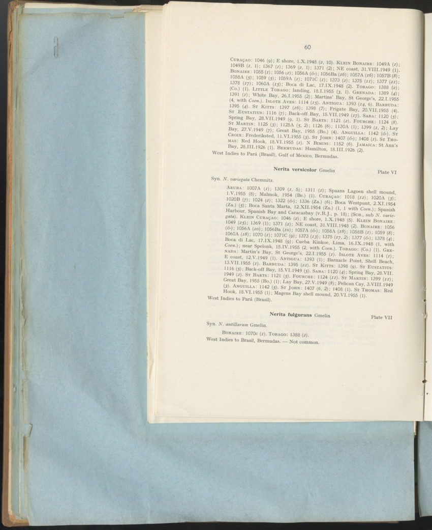 Carmabi Collected Papers Volume 1 - Nos. 1-15, 1956-1959 - Page 148