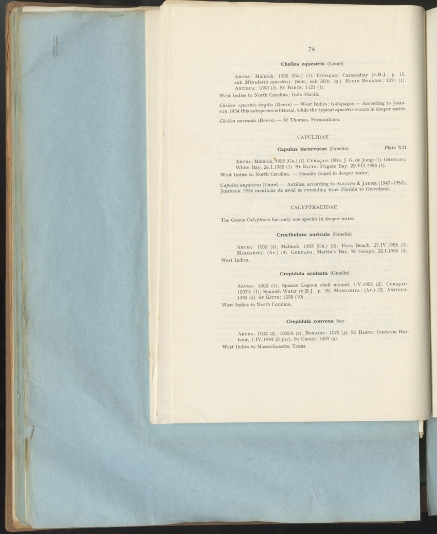Carmabi Collected Papers Volume 1 - Nos. 1-15, 1956-1959 - Page 162
