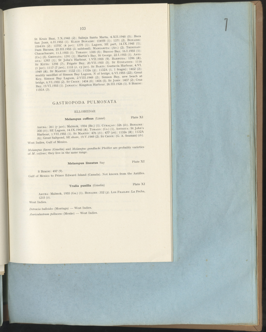 Carmabi Collected Papers Volume 1 - Nos. 1-15, 1956-1959 - Page 191