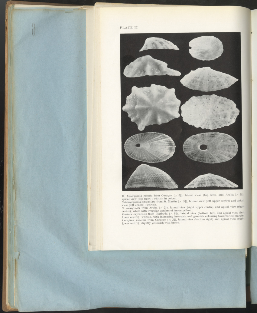 Carmabi Collected Papers Volume 1 - Nos. 1-15, 1956-1959 - Page 202