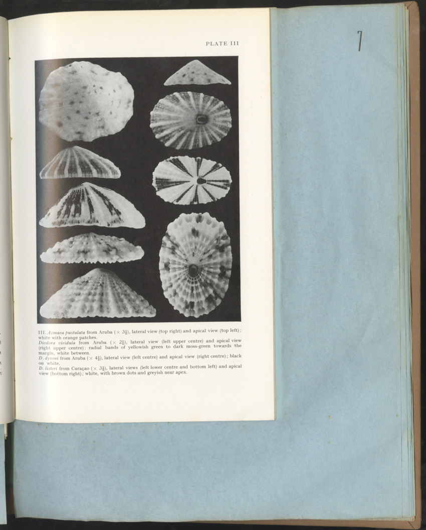 Carmabi Collected Papers Volume 1 - Nos. 1-15, 1956-1959 - Page 203