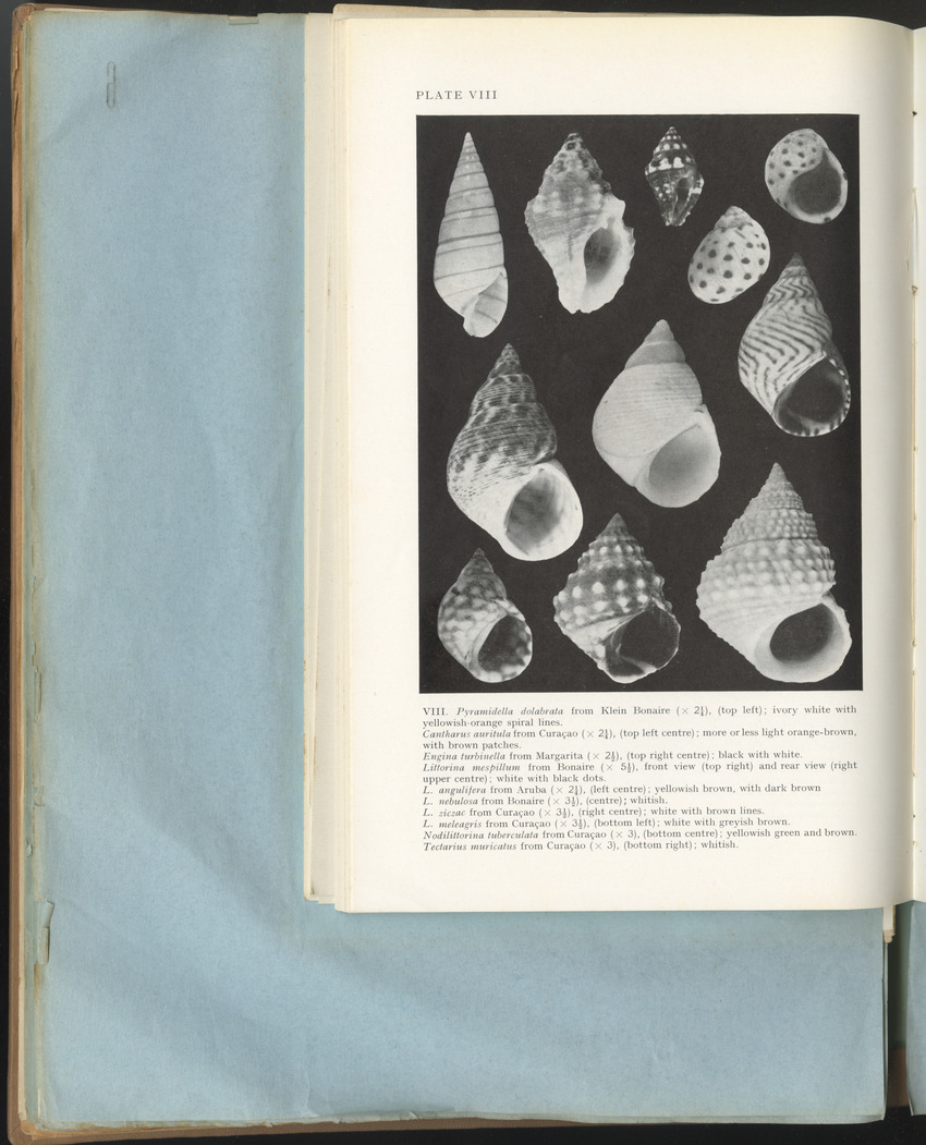 Carmabi Collected Papers Volume 1 - Nos. 1-15, 1956-1959 - Page 208