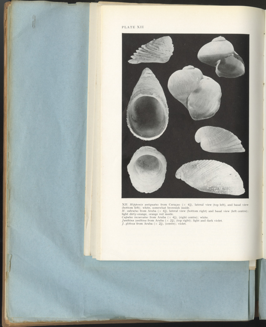 Carmabi Collected Papers Volume 1 - Nos. 1-15, 1956-1959 - Page 212