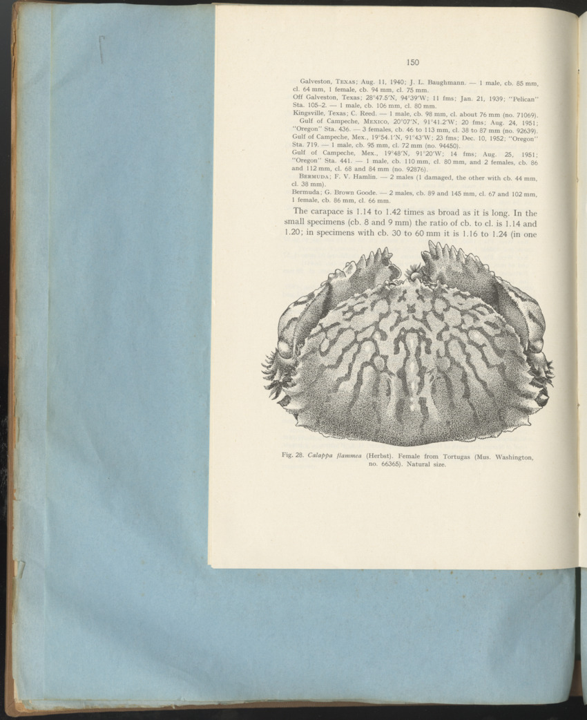 Carmabi Collected Papers Volume 1 - Nos. 1-15, 1956-1959 - Page 226