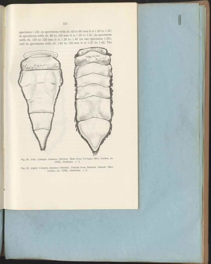 Carmabi Collected Papers Volume 1 - Nos. 1-15, 1956-1959 - Page 227