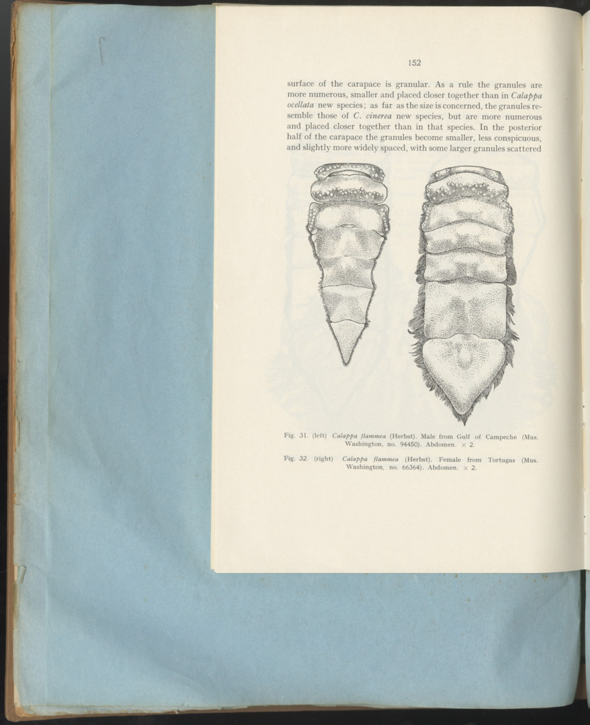 Carmabi Collected Papers Volume 1 - Nos. 1-15, 1956-1959 - Page 228