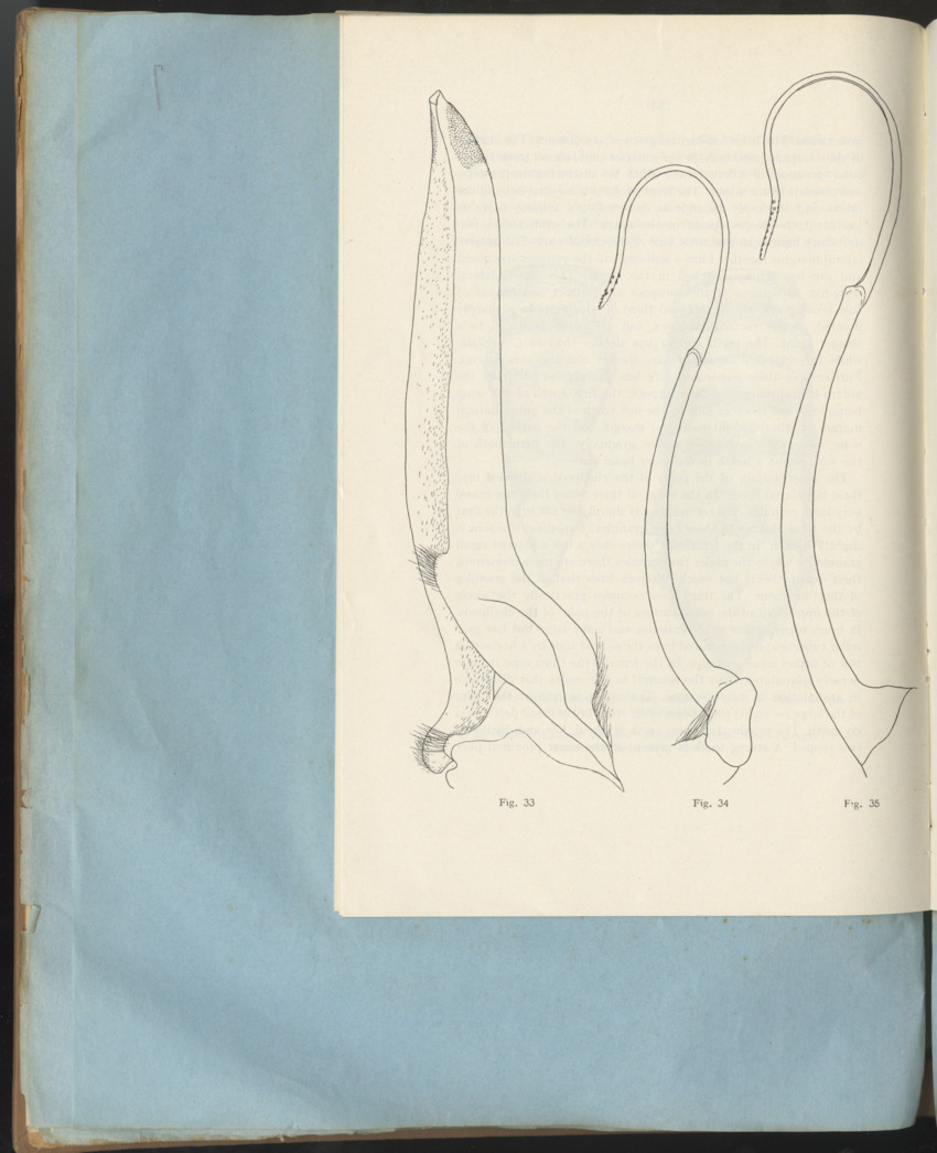Carmabi Collected Papers Volume 1 - Nos. 1-15, 1956-1959 - Page 230