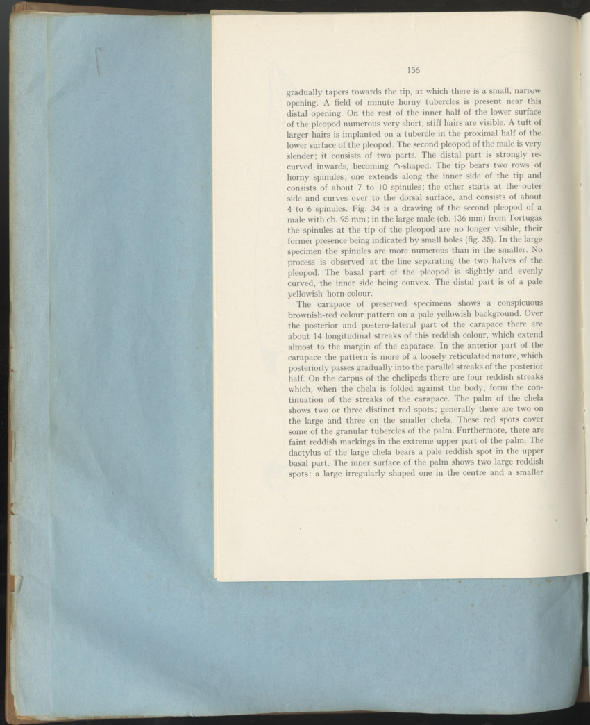 Carmabi Collected Papers Volume 1 - Nos. 1-15, 1956-1959 - Page 232