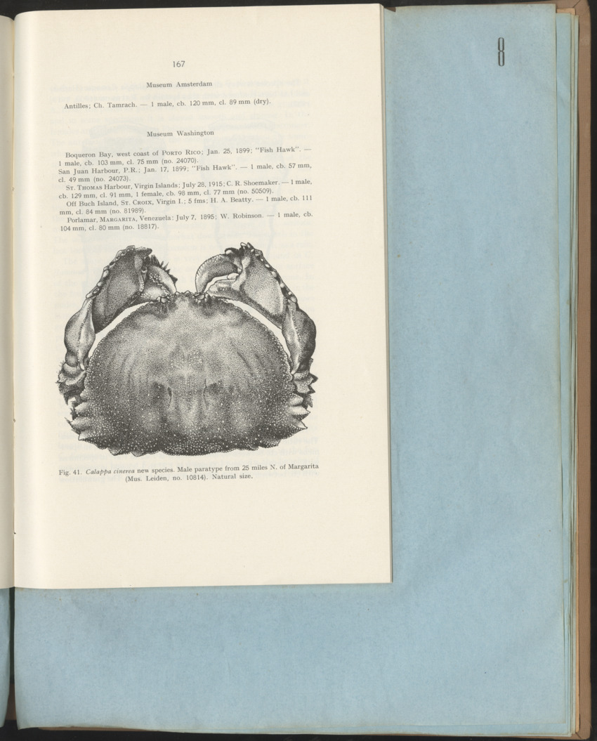 Carmabi Collected Papers Volume 1 - Nos. 1-15, 1956-1959 - Page 243