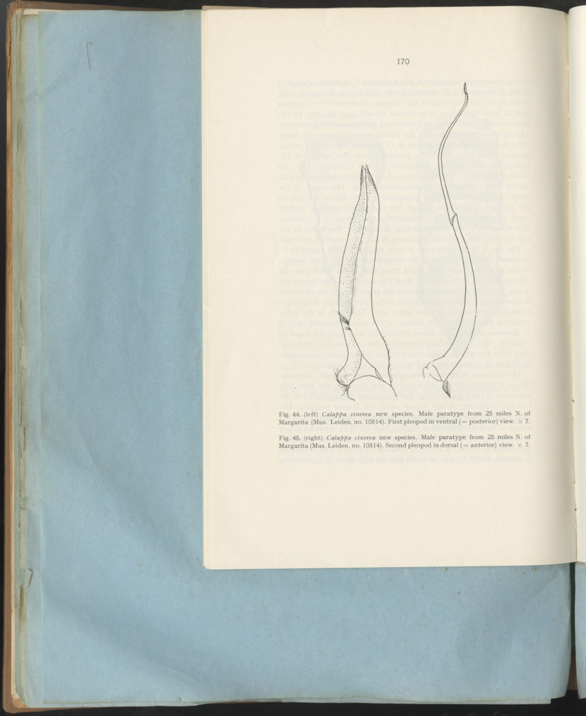 Carmabi Collected Papers Volume 1 - Nos. 1-15, 1956-1959 - Page 246