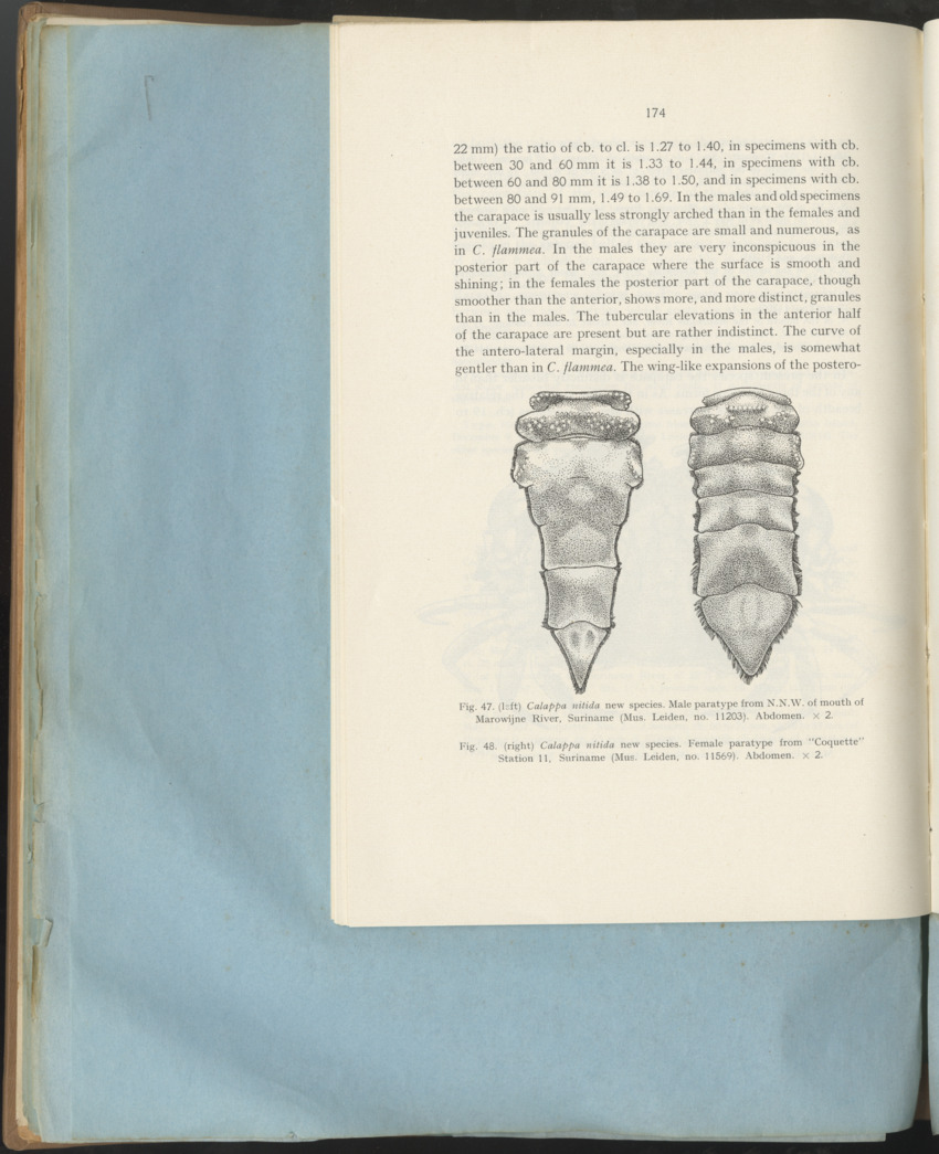 Carmabi Collected Papers Volume 1 - Nos. 1-15, 1956-1959 - Page 250