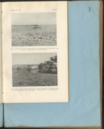 MISSING THUMBNAIL