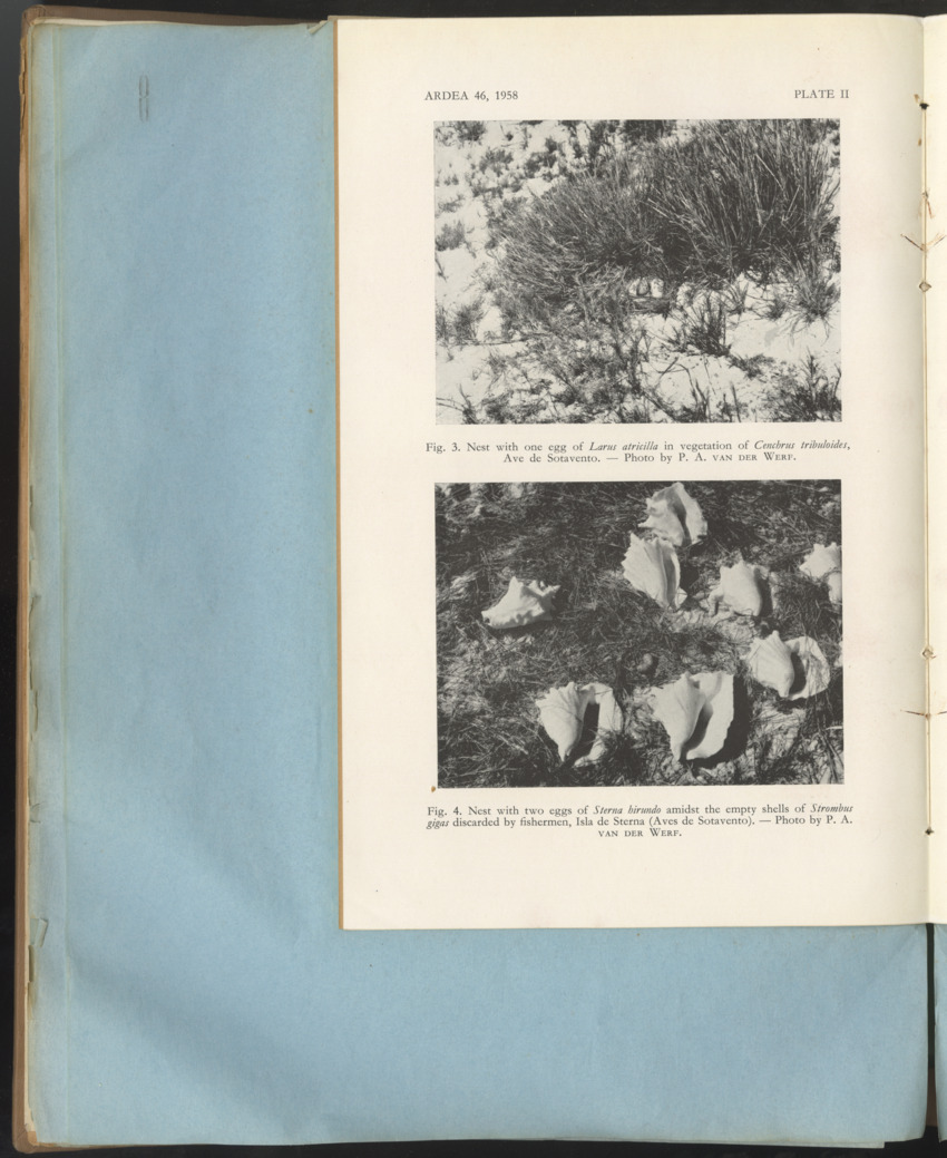 Carmabi Collected Papers Volume 1 - Nos. 1-15, 1956-1959 - Page 272