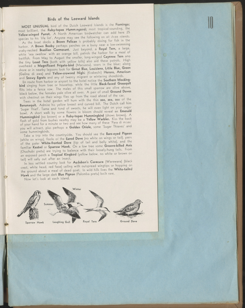 Carmabi Collected Papers Volume 1 - Nos. 1-15, 1956-1959 - Page 299