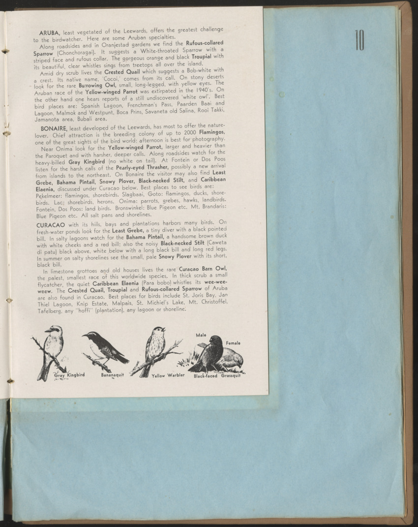 Carmabi Collected Papers Volume 1 - Nos. 1-15, 1956-1959 - Page 301
