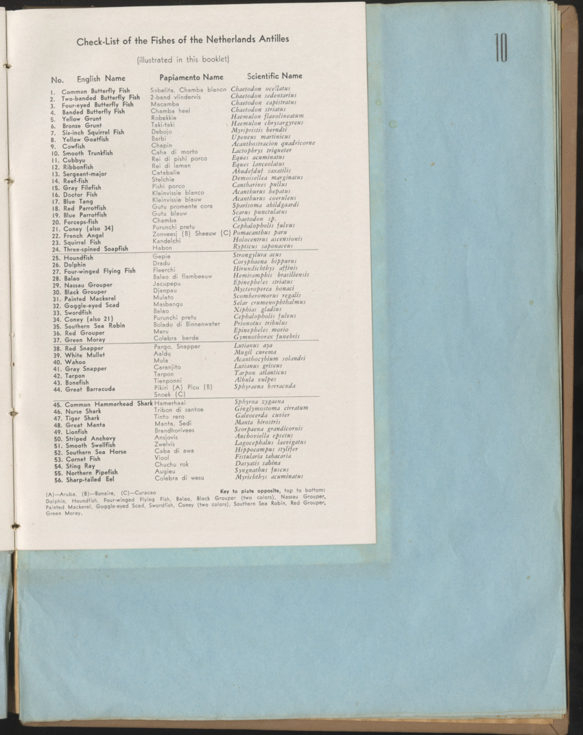 Carmabi Collected Papers Volume 1 - Nos. 1-15, 1956-1959 - Page 311