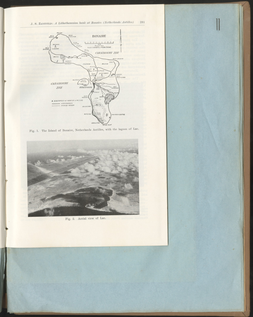 Carmabi Collected Papers Volume 1 - Nos. 1-15, 1956-1959 - Page 325