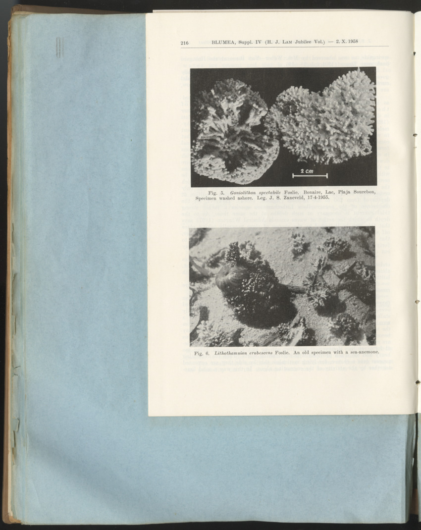 Carmabi Collected Papers Volume 1 - Nos. 1-15, 1956-1959 - Page 330
