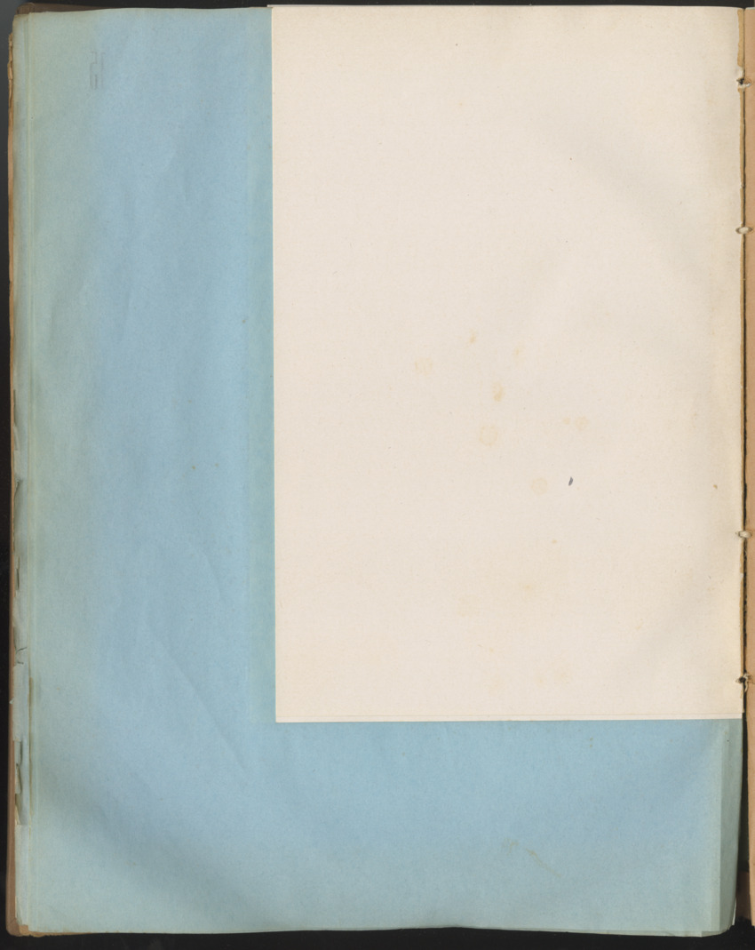 Carmabi Collected Papers Volume 1 - Nos. 1-15, 1956-1959 - Page 384