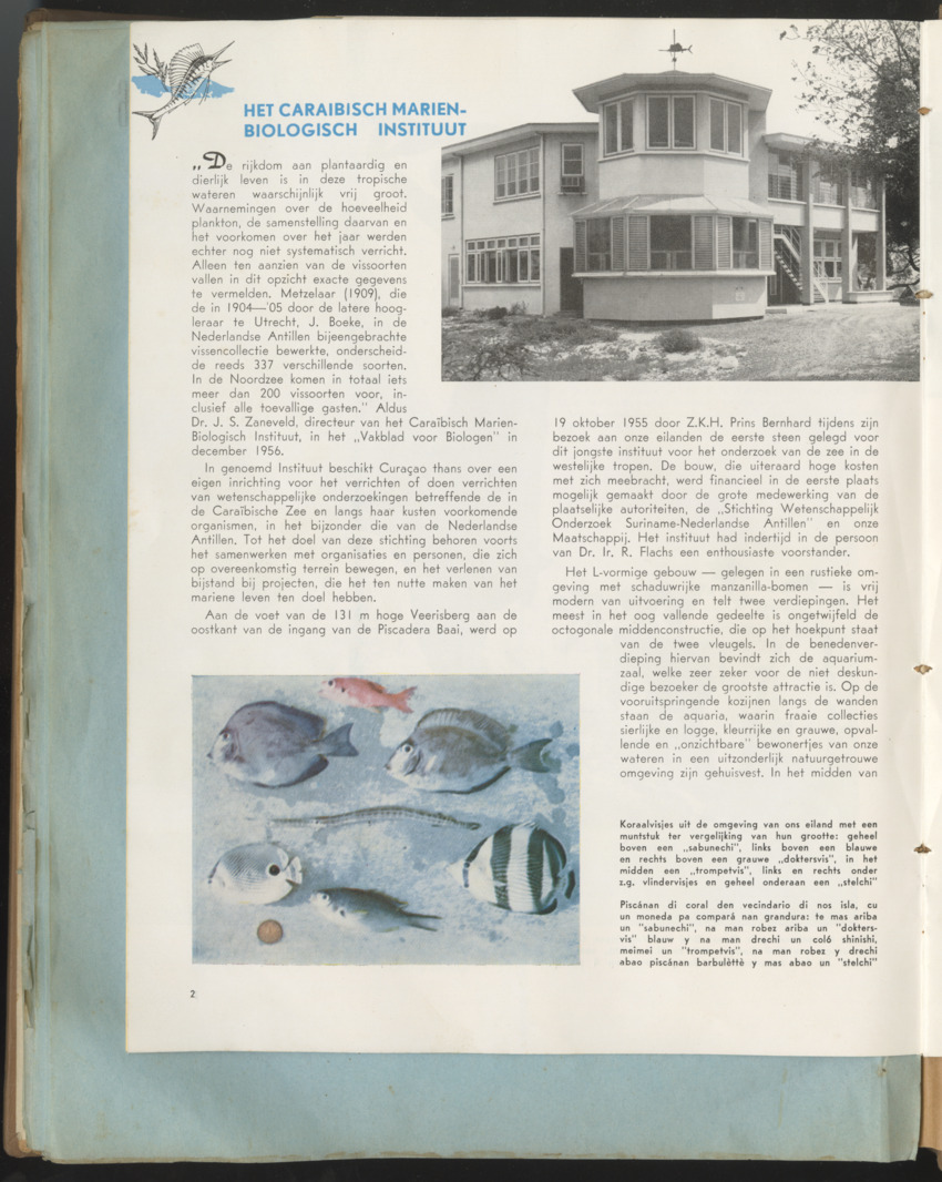 Carmabi Collected Papers Volume 1 - Nos. 1-15, 1956-1959 - Page 390